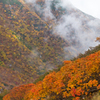 尾根