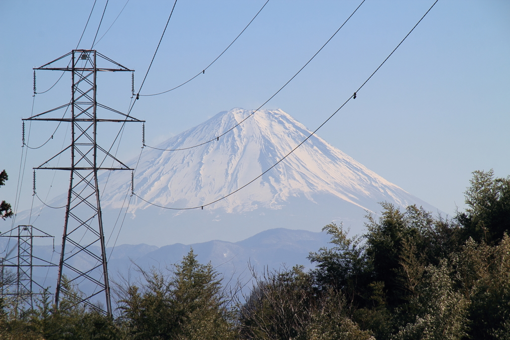 電線と富士山