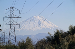 電線と富士山