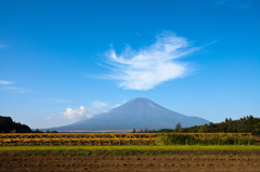 富士山と雲