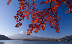 富士山と紅葉