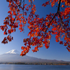 富士山と紅葉
