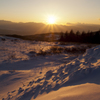 陽の光で色づく雪景色