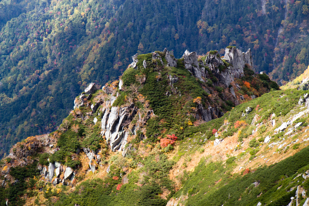 岩と紅葉