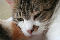眠いな～！！！