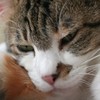 眠いな～！！！