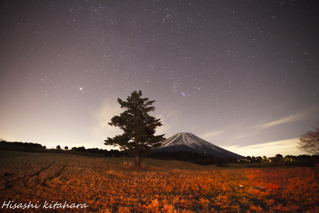赤く染まる草原と星空