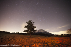 赤く染まる草原と星空