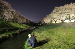 カメラマンと桜並木