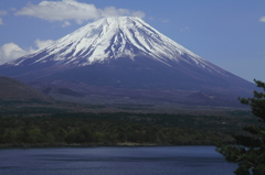 Mt.fuji and Lake motosu