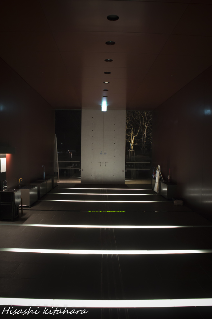 Door to the future