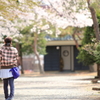 カメラ女子・・・撮りたい桜を探す