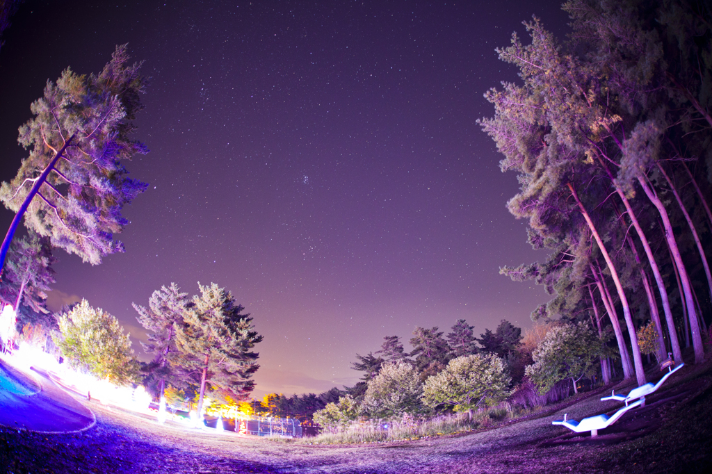 様々な光と星空