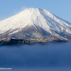 富士と朝霧