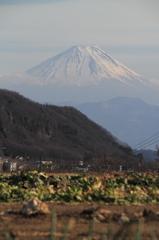 畑と富士山