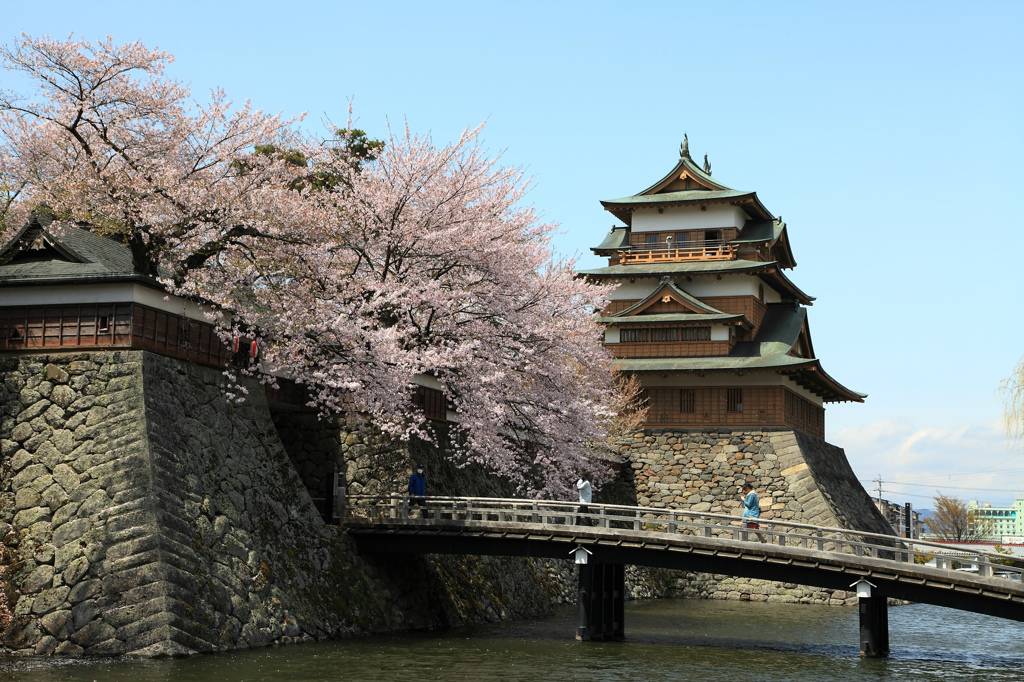 高島城と桜