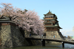 高島城と桜