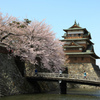 高島城と桜