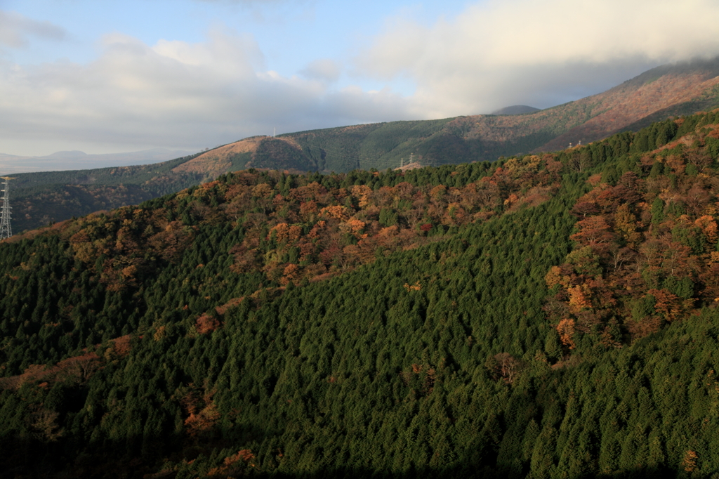 静岡県道１４７号からの風景