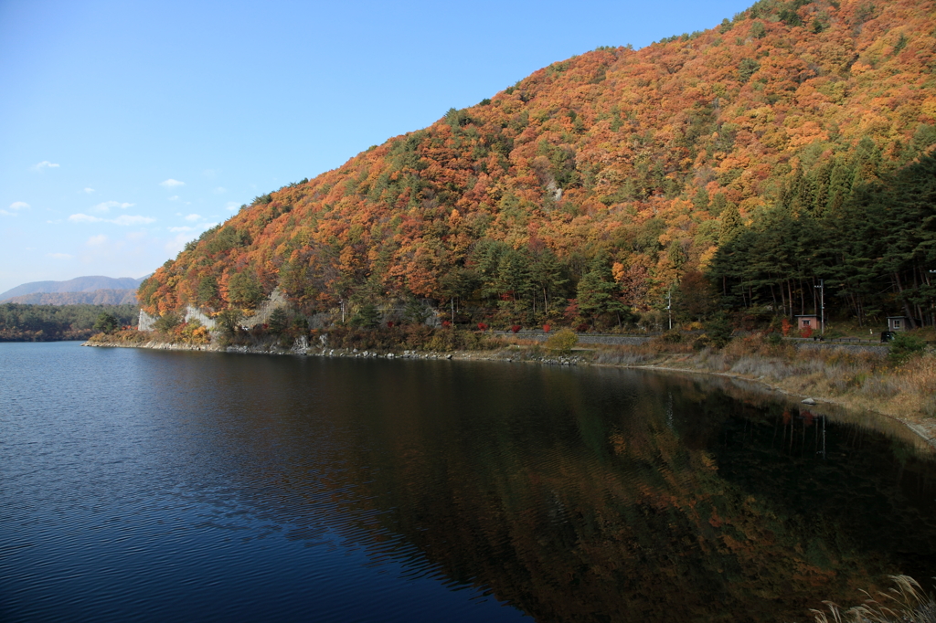 西湖と紅葉