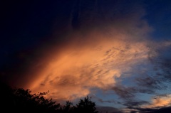 雲