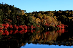 白駒池と紅葉