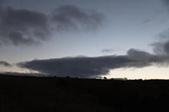 メダカのような雲