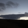 メダカのような雲