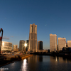 みなとみらい　朝景