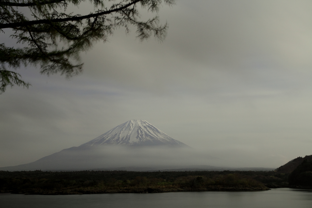 精進湖からの富士山