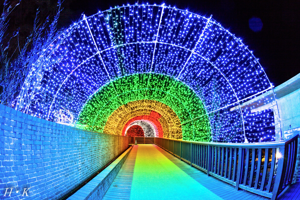 peafowl tunnel 