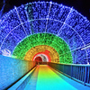 peafowl tunnel 