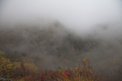霧で包まれる横谷峡