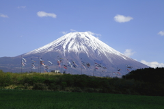 富士山と鯉のぼり