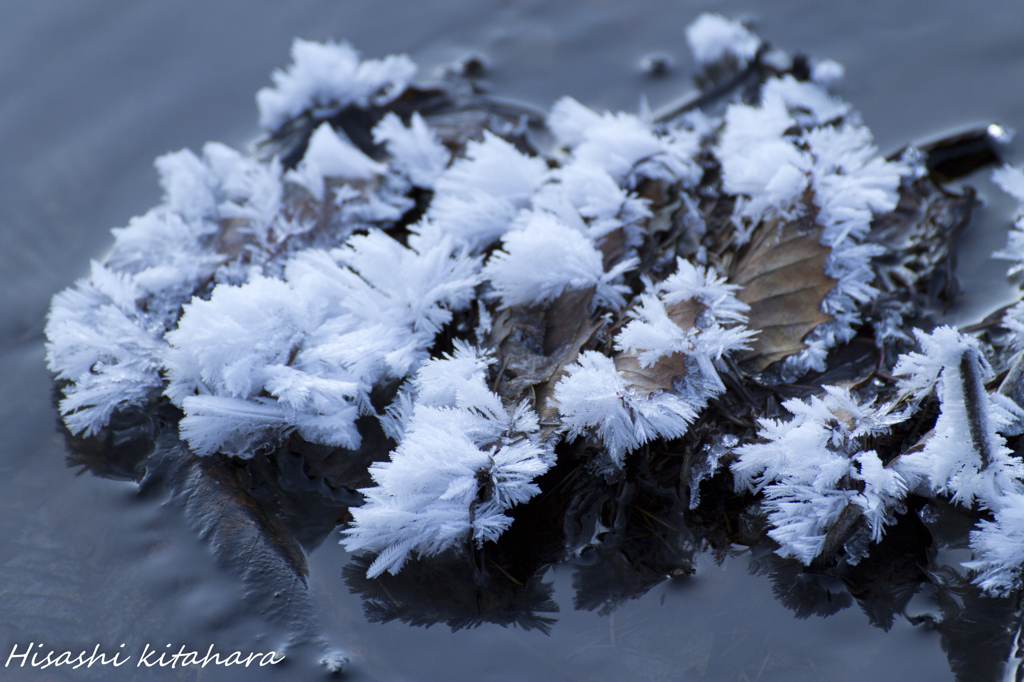 雪の華②