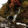 紅葉と吐竜の滝