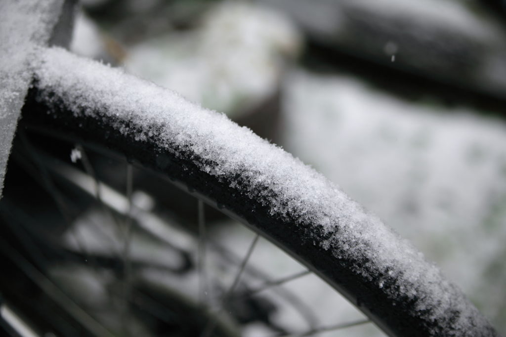 時期外れの雪・・・タイヤに積もる