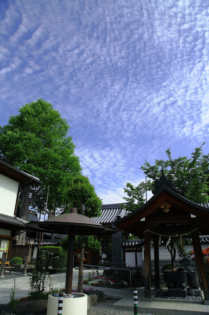 平福寺と青空と雲