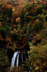 王滝と紅葉