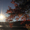太陽と紅葉