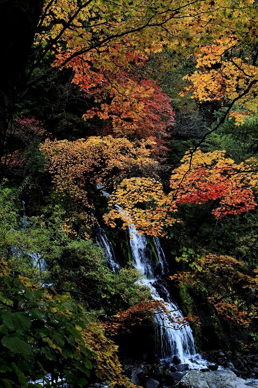 紅葉と滝