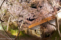 桜雲橋　ライトアップ