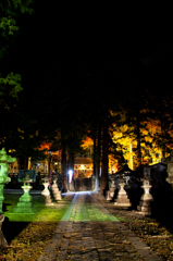 鳩ヶ嶺八幡宮　紅葉ライトアップ⑧