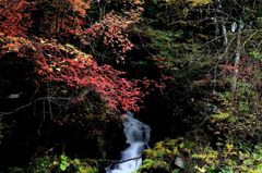 紅葉と滝