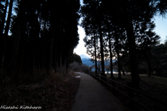 遊歩道の先には富士