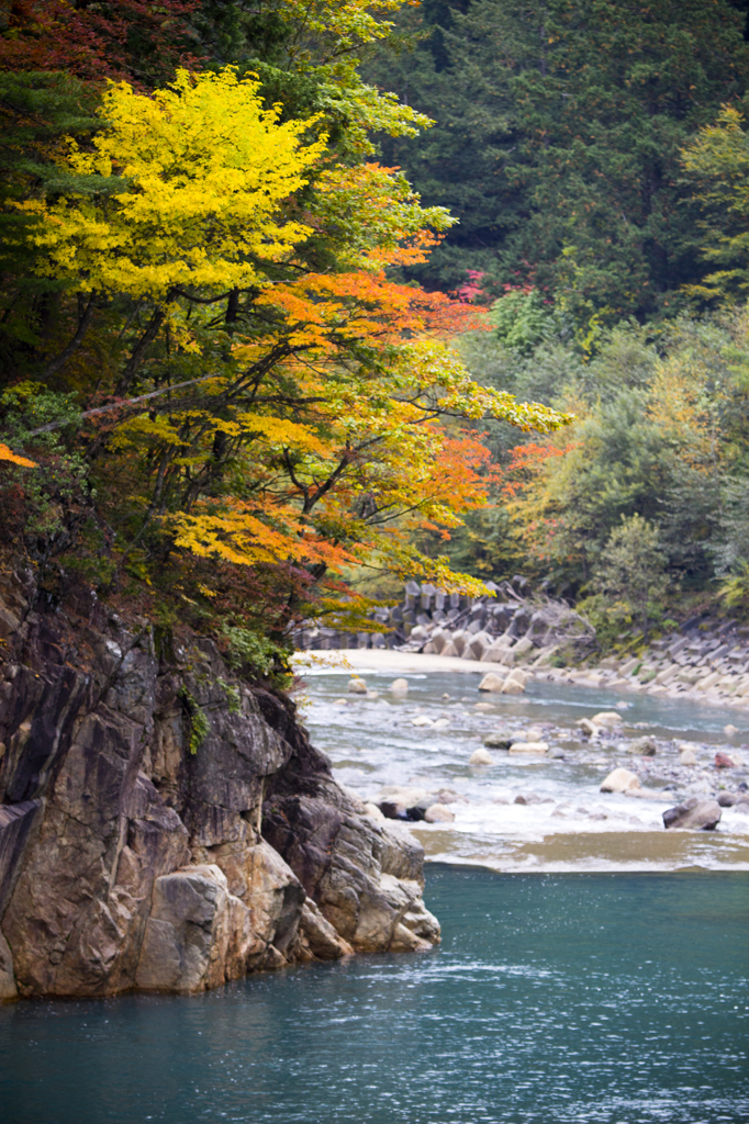 王滝川　秋景