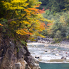王滝川　秋景