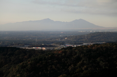 静岡県道１４７号からの風景