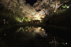 お堀の池に映る桜雲橋