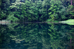 茅野市の池　夏